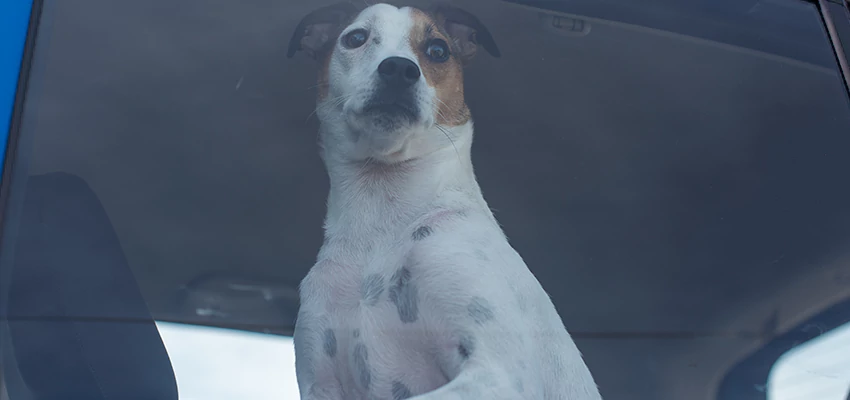 Car Lockout Solutions in Farmersville, California